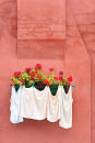 Geraniums and Tea Towels