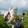 Bear to wait