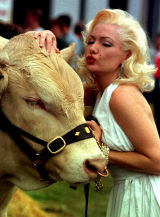 Blonde's do have more fun!