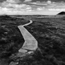 Stick to the Path