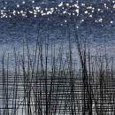 Reeds II