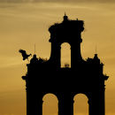 Golden Sunset
