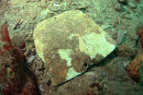 CORONATION WRECK13