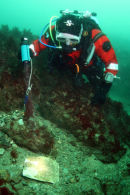 CORONATION WRECK5