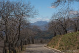 Ronda Serrania: Ubrique and other small mountain villages